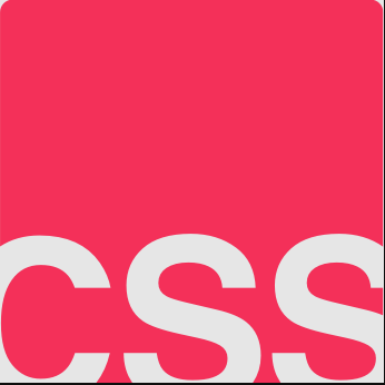 ct.css logo
