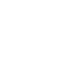 iris mock logo